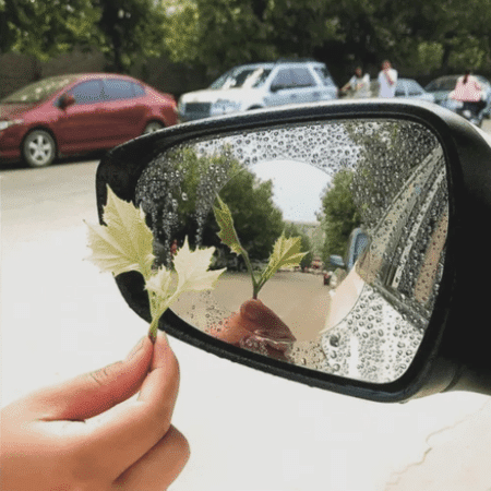 Láminas hidrofóbicas