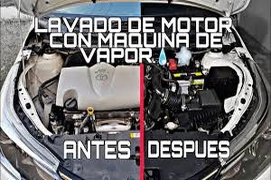 Limpiadora a Vapor Profesional 10 Accesorios Hogar y Auto