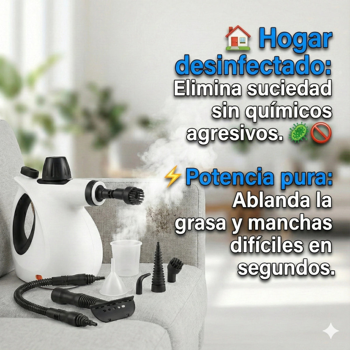 Limpiadora Vapor Profesional 10 Accesorios Hogar Auto - TodoTecnoArgentina