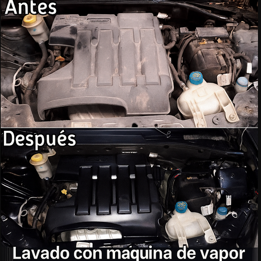 Limpiadora a Vapor Profesional 10 Accesorios Hogar y Auto